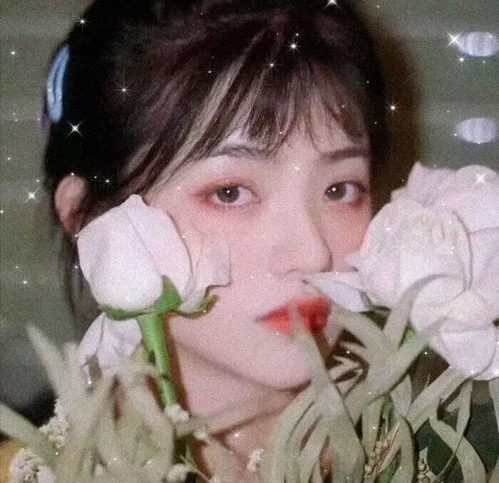 荔枝树下热烈岛